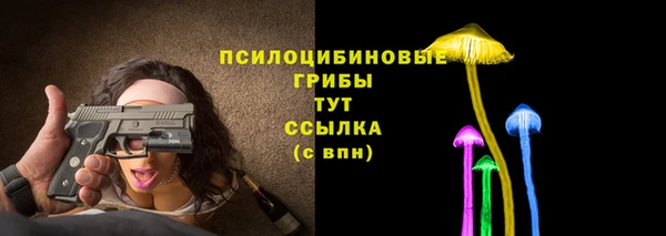 стаф Верхний Тагил